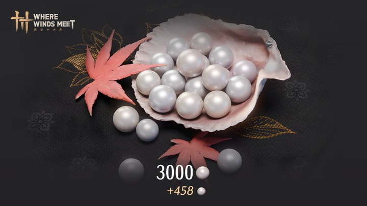 3000 Echo Beads