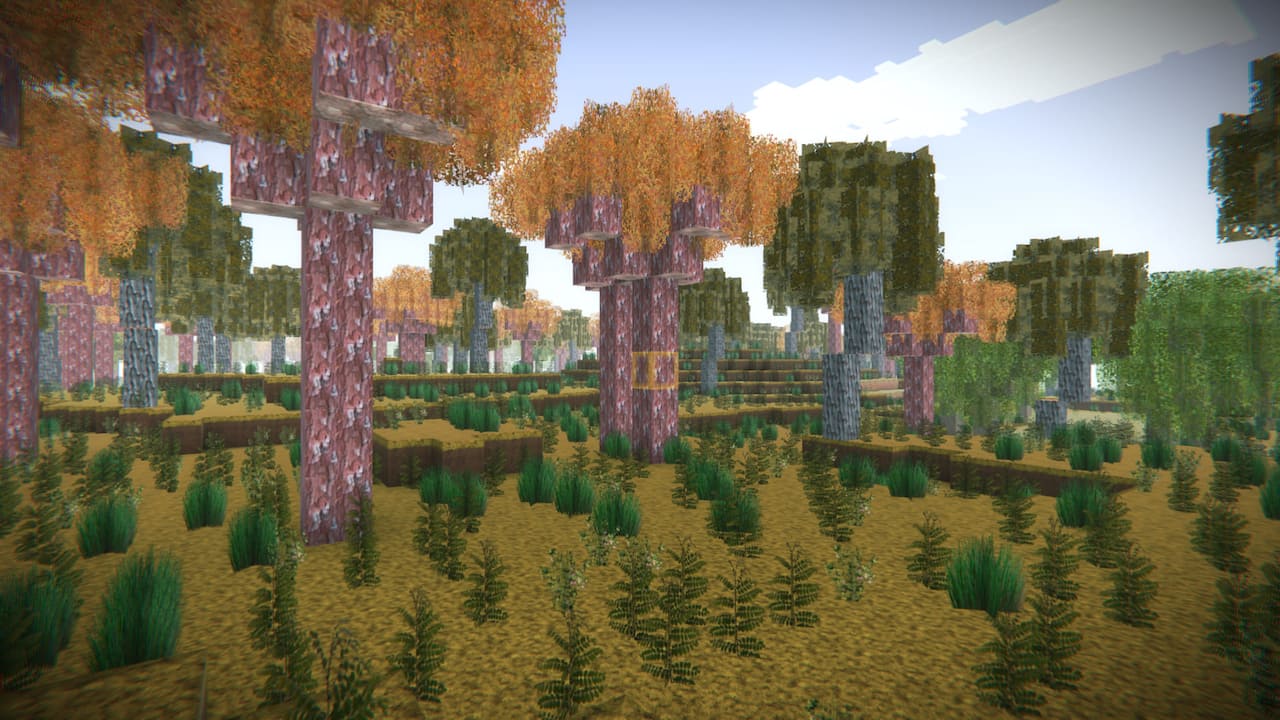 Build From Block-14qii
