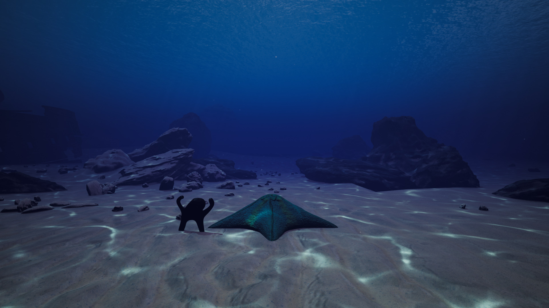 Starfish Simulator-1lw78