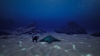 Starfish Simulator screenshot 3