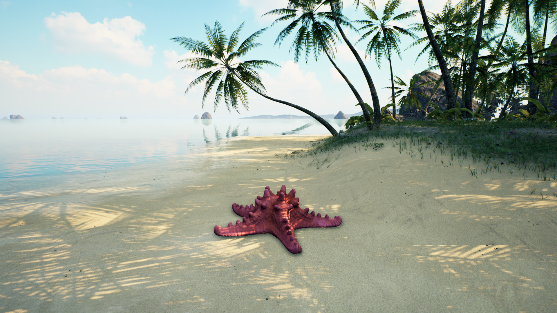 Starfish Simulator-1rmuu