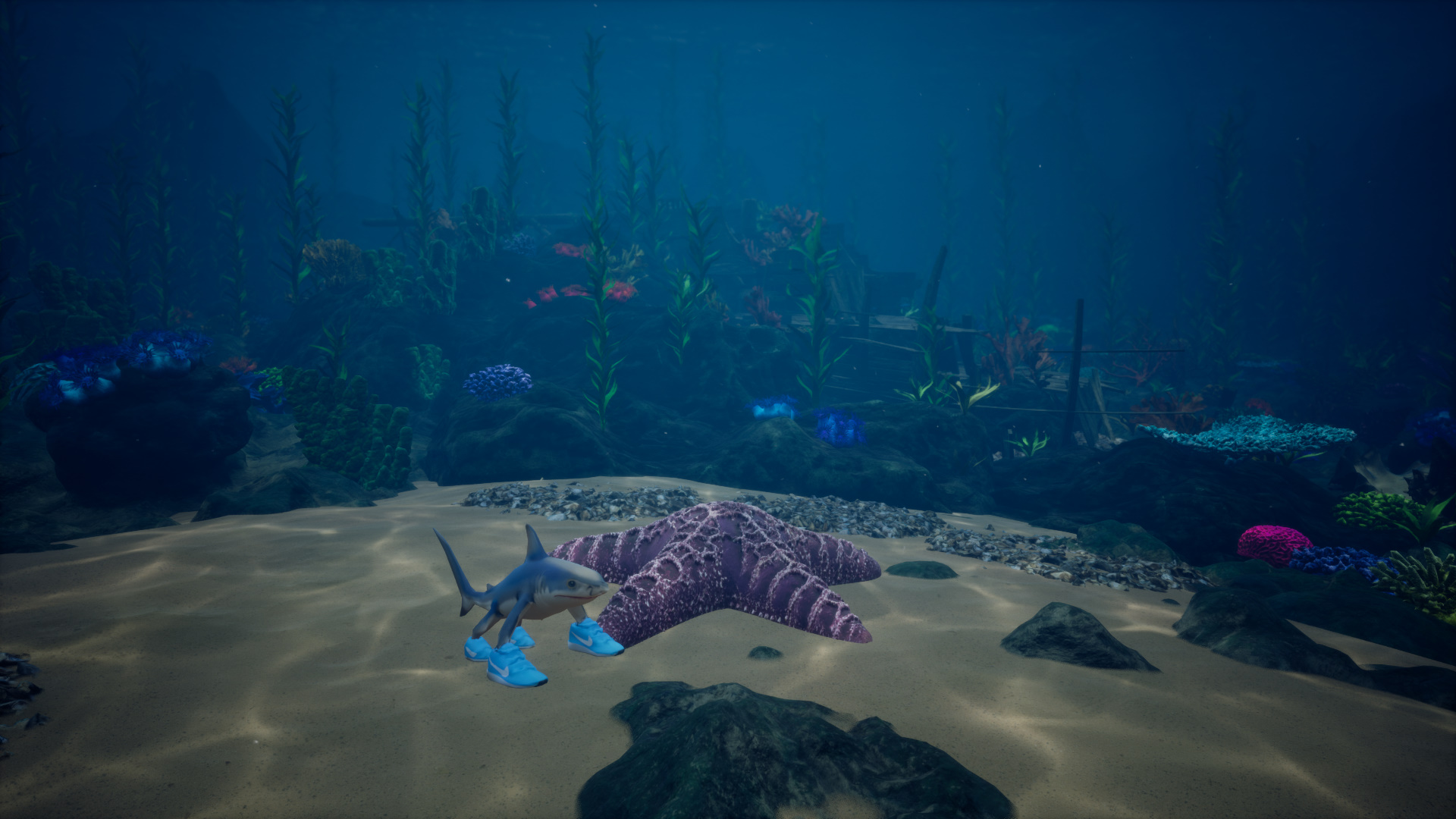 Starfish Simulator-ri0ev