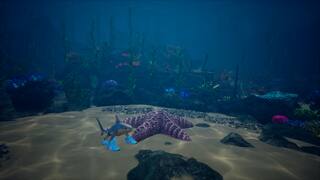 Starfish Simulator screenshot 6