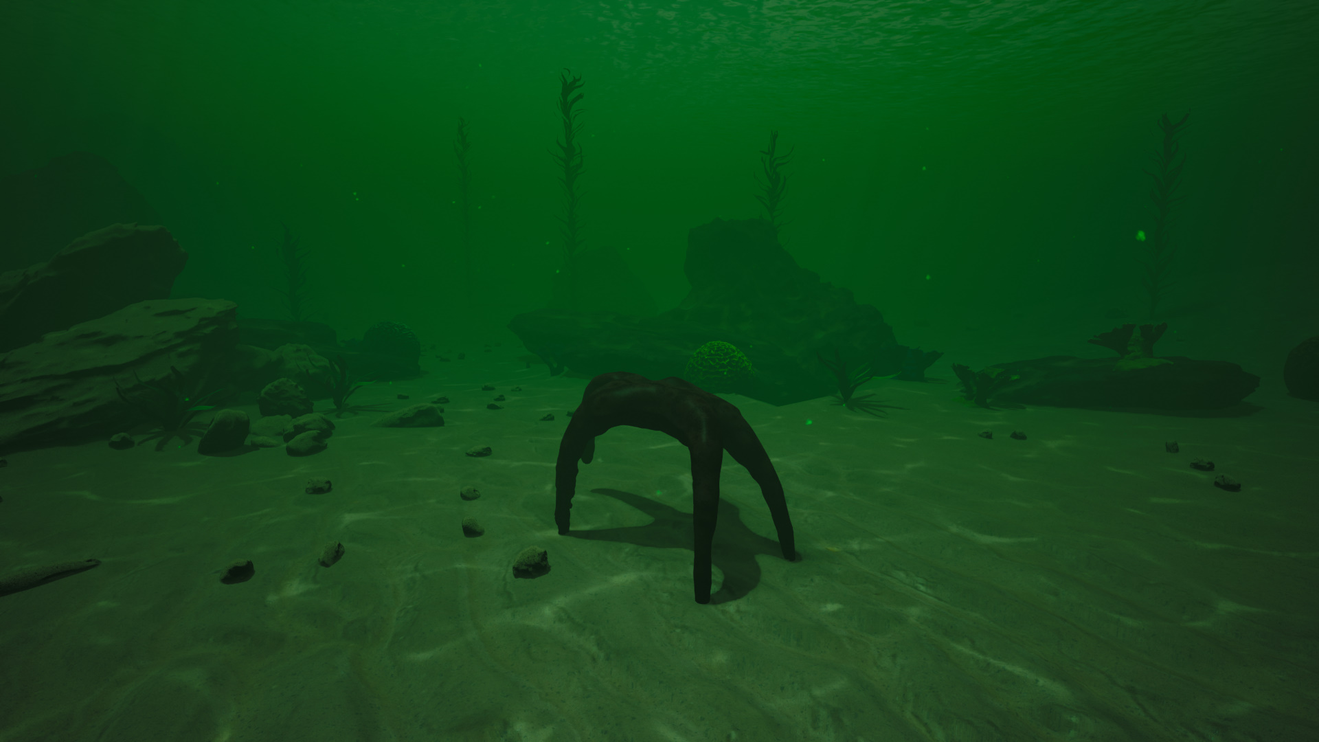 Starfish Simulator-x6vxh