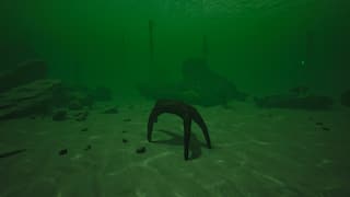 Starfish Simulator screenshot 4