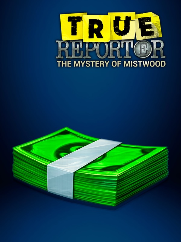 Bundle of banknotes [True Reporter]