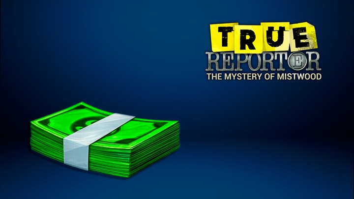 Bundle of banknotes [True Reporter]