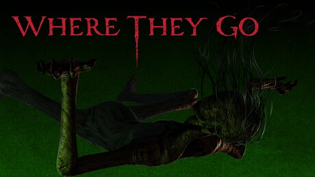 Купить ключ дешево Where They Go