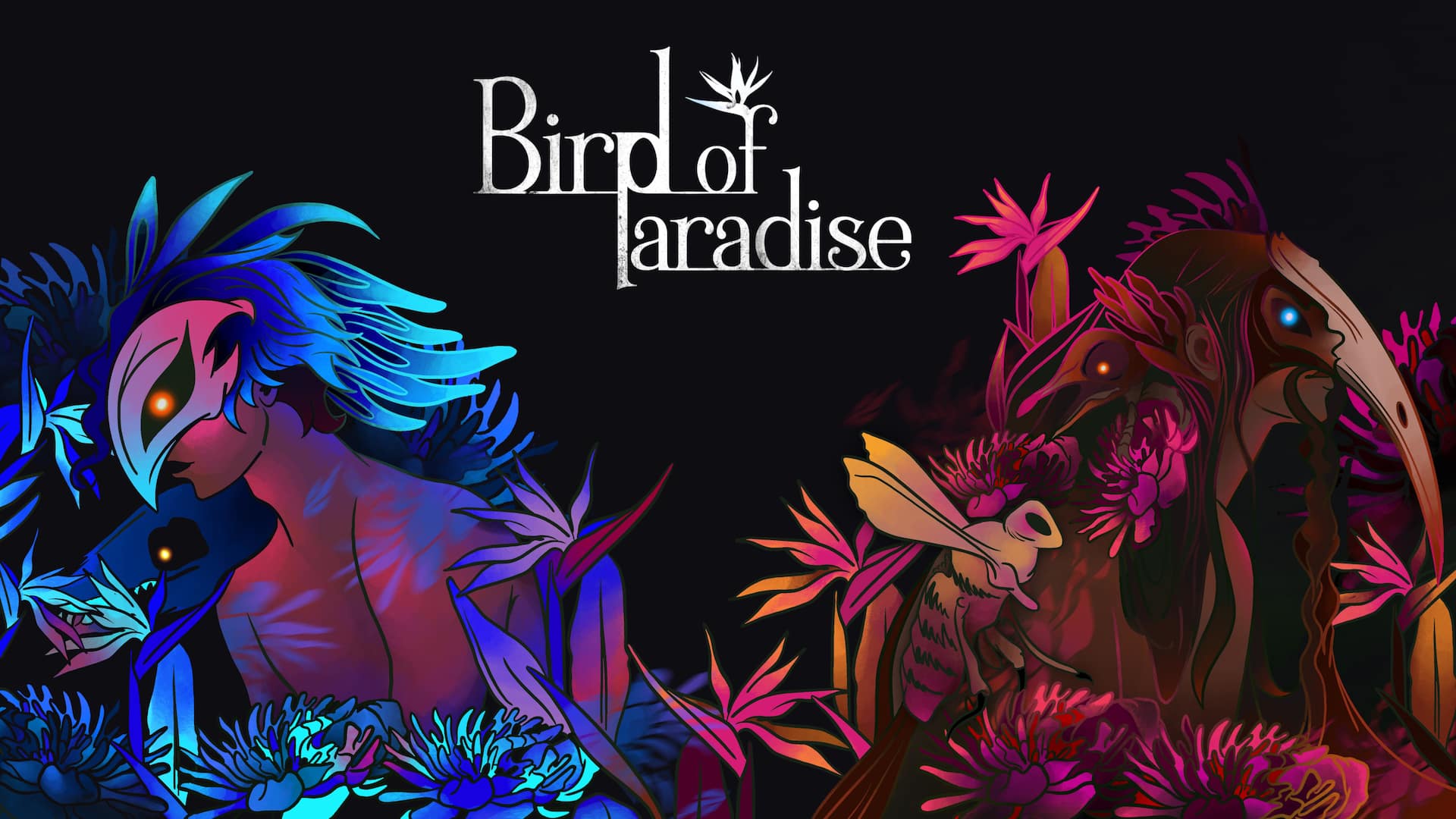 Bird of Paradise