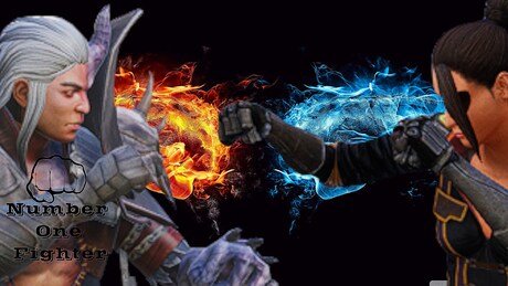 Купить ключ дешево Number One Fighter