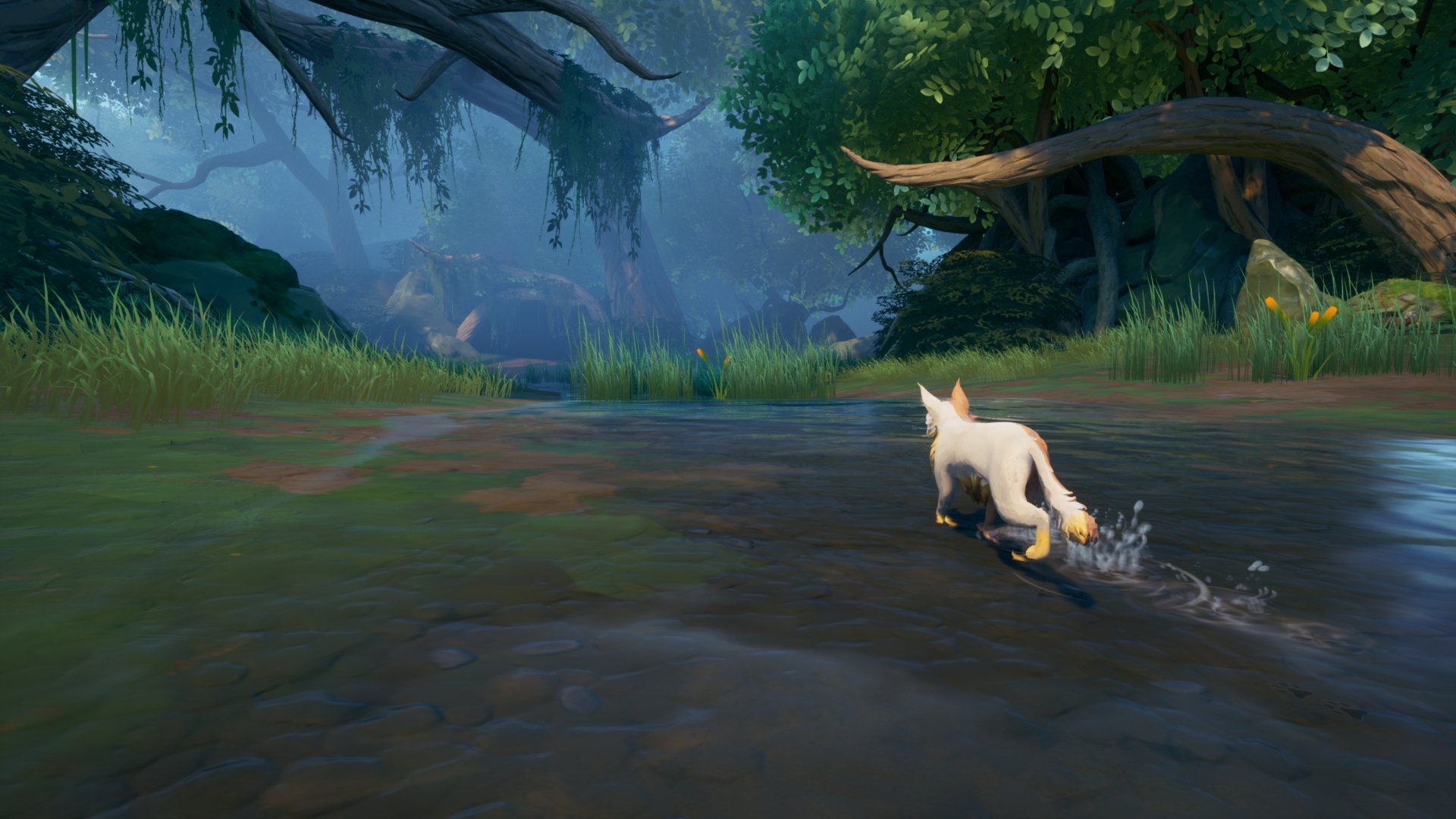 Warrior Cats: Clans of the Forest-ituom