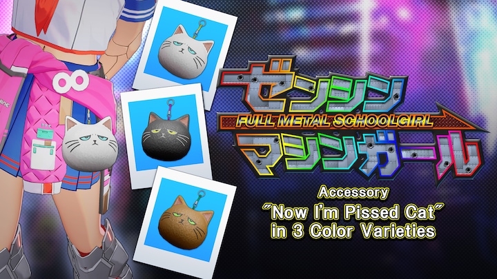 Accessory: "Now I'm Pissed Cat" in 3 Color Varieties