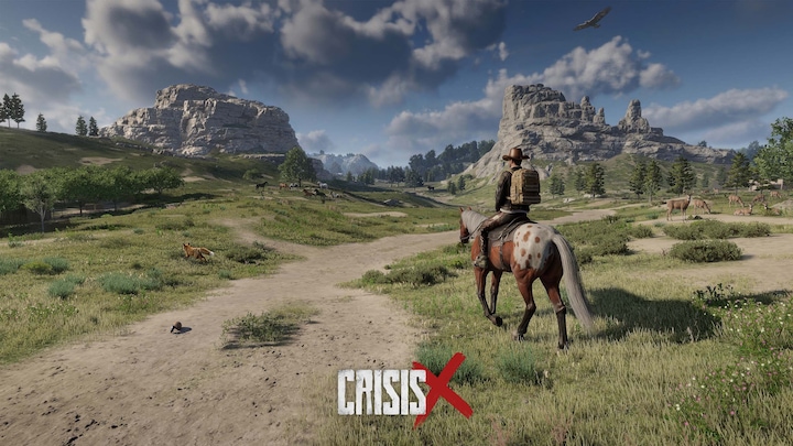 CrisisX