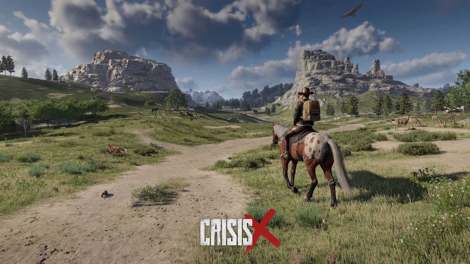 CrisisX