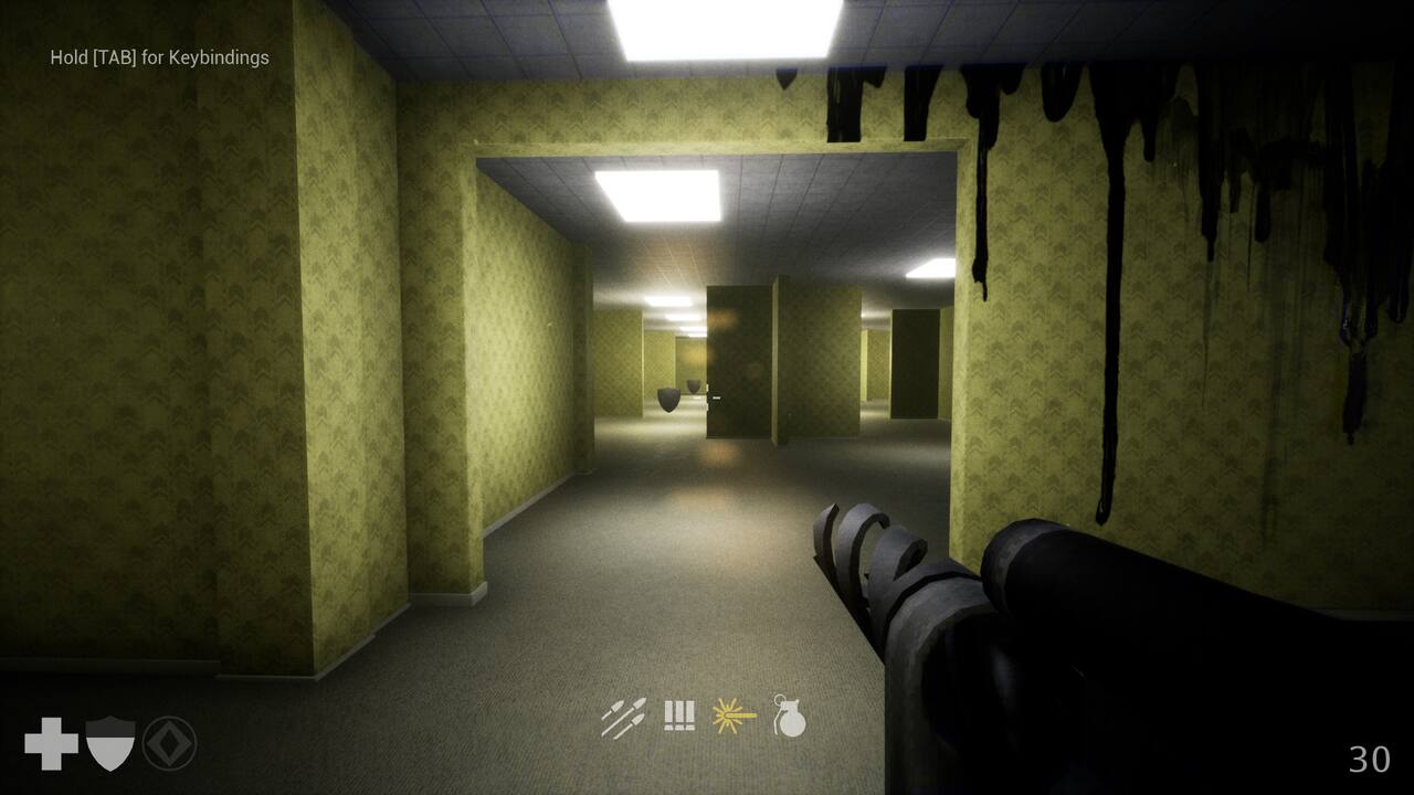 Bulletrooms-vzld8