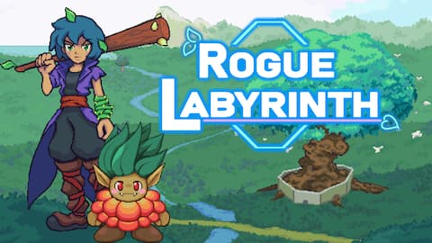 Rogue Labyrinth