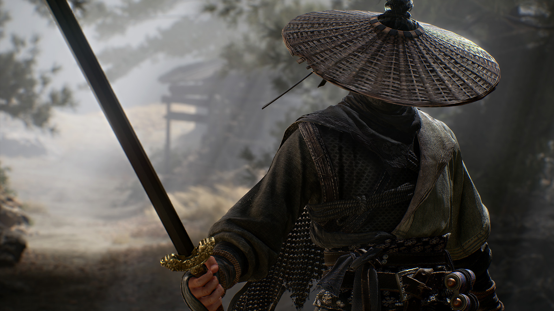 A Whisper Of Fall:Jinyiwei-160mm