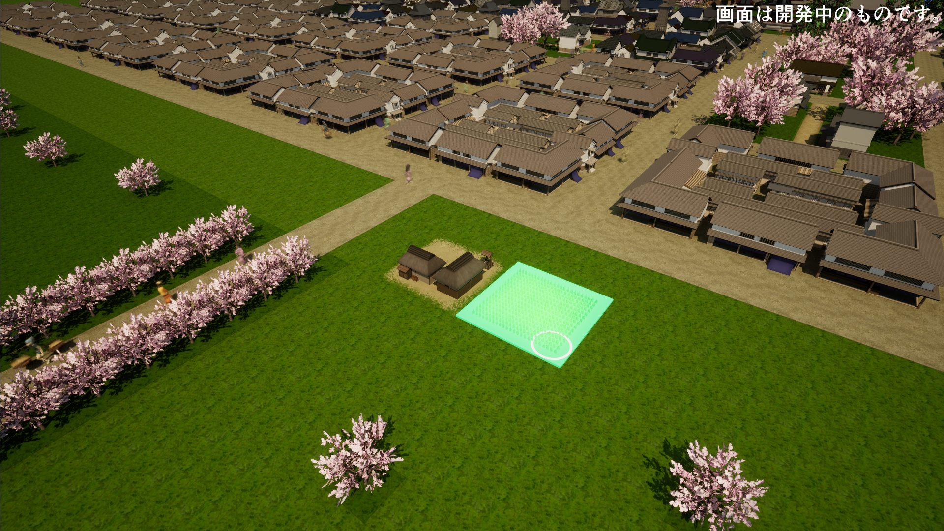 OEDO DEVELOPER-zslnc