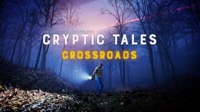 Cryptic Tales - Crossroads
