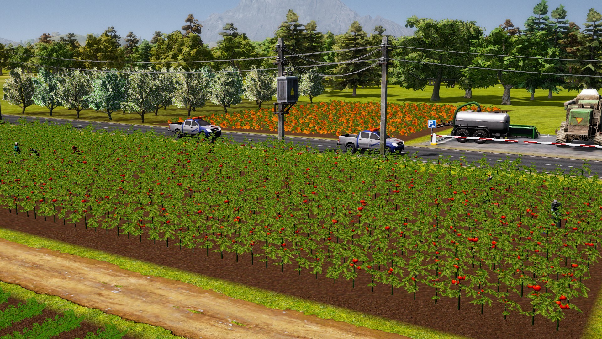 Farm Manager 2021-1fvt5