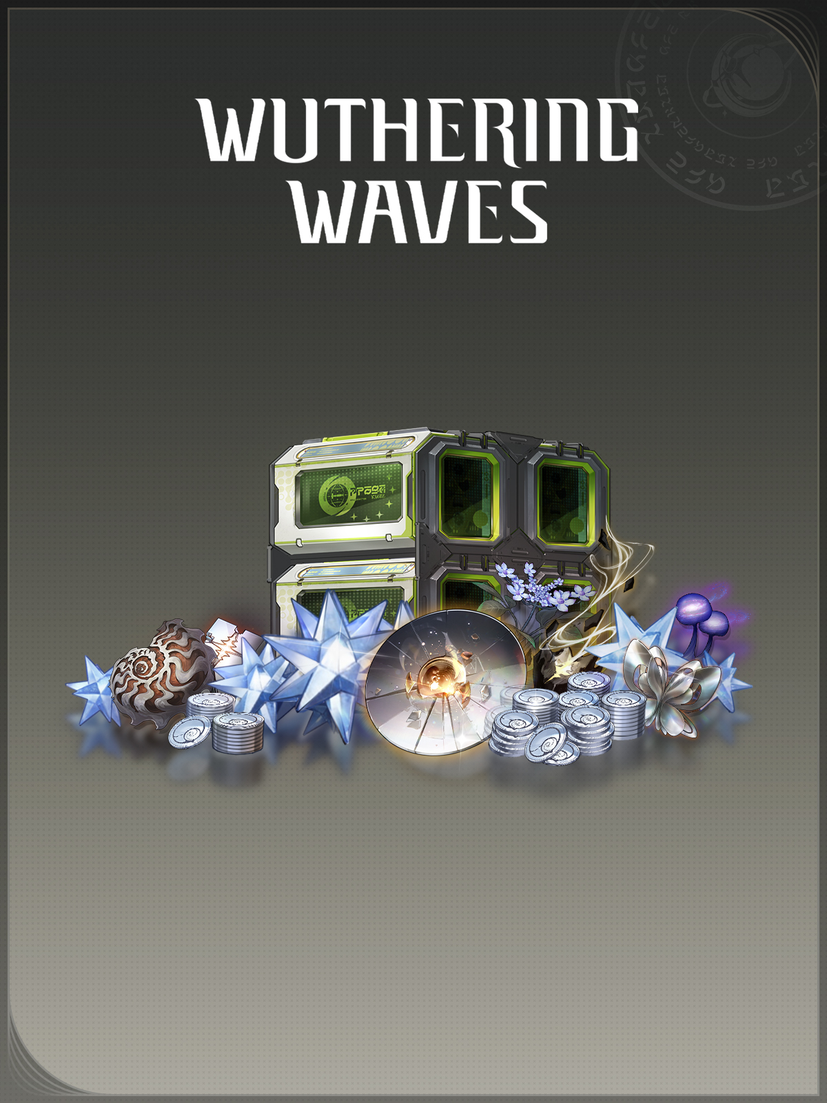 Special Bundle25