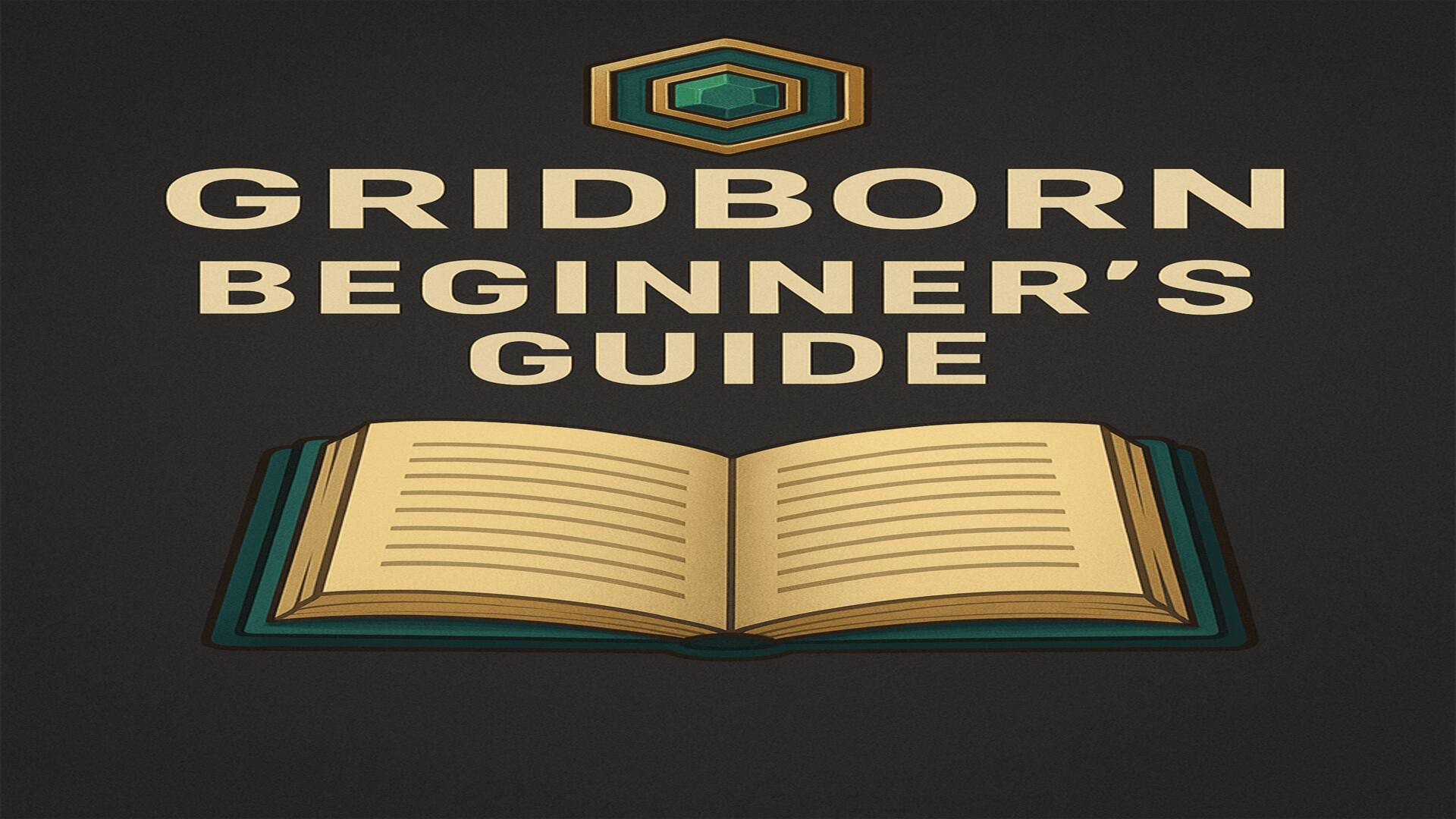 Beginner Guide