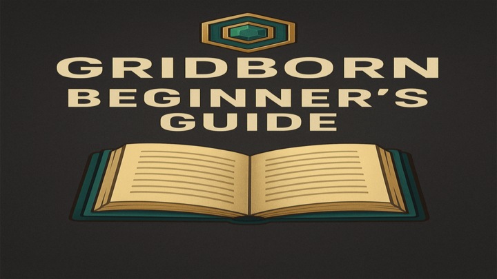 Beginner Guide