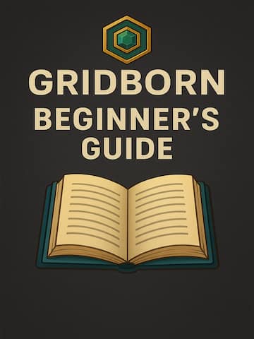 Beginner Guide