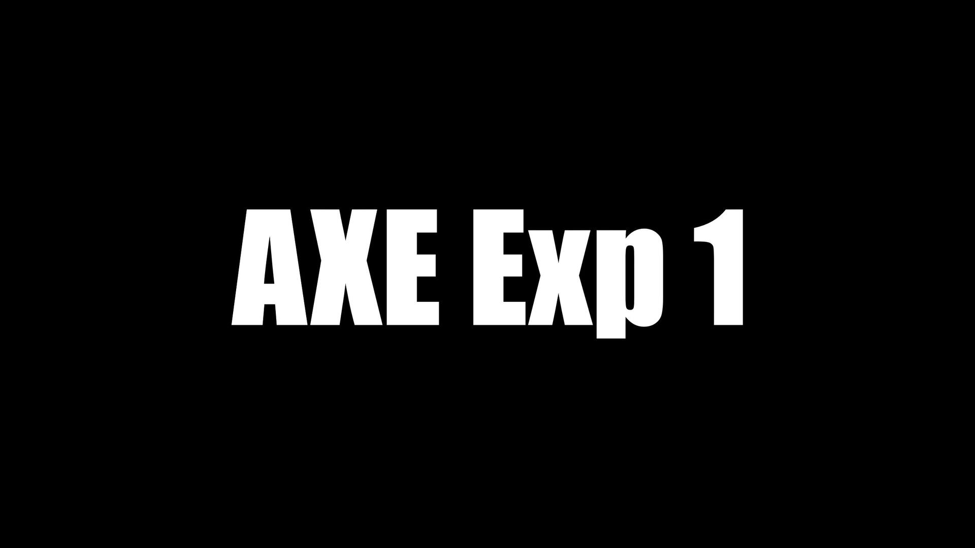 AXE Exp 1