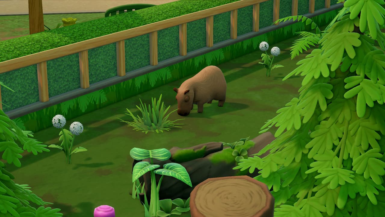 Carousel slide 6