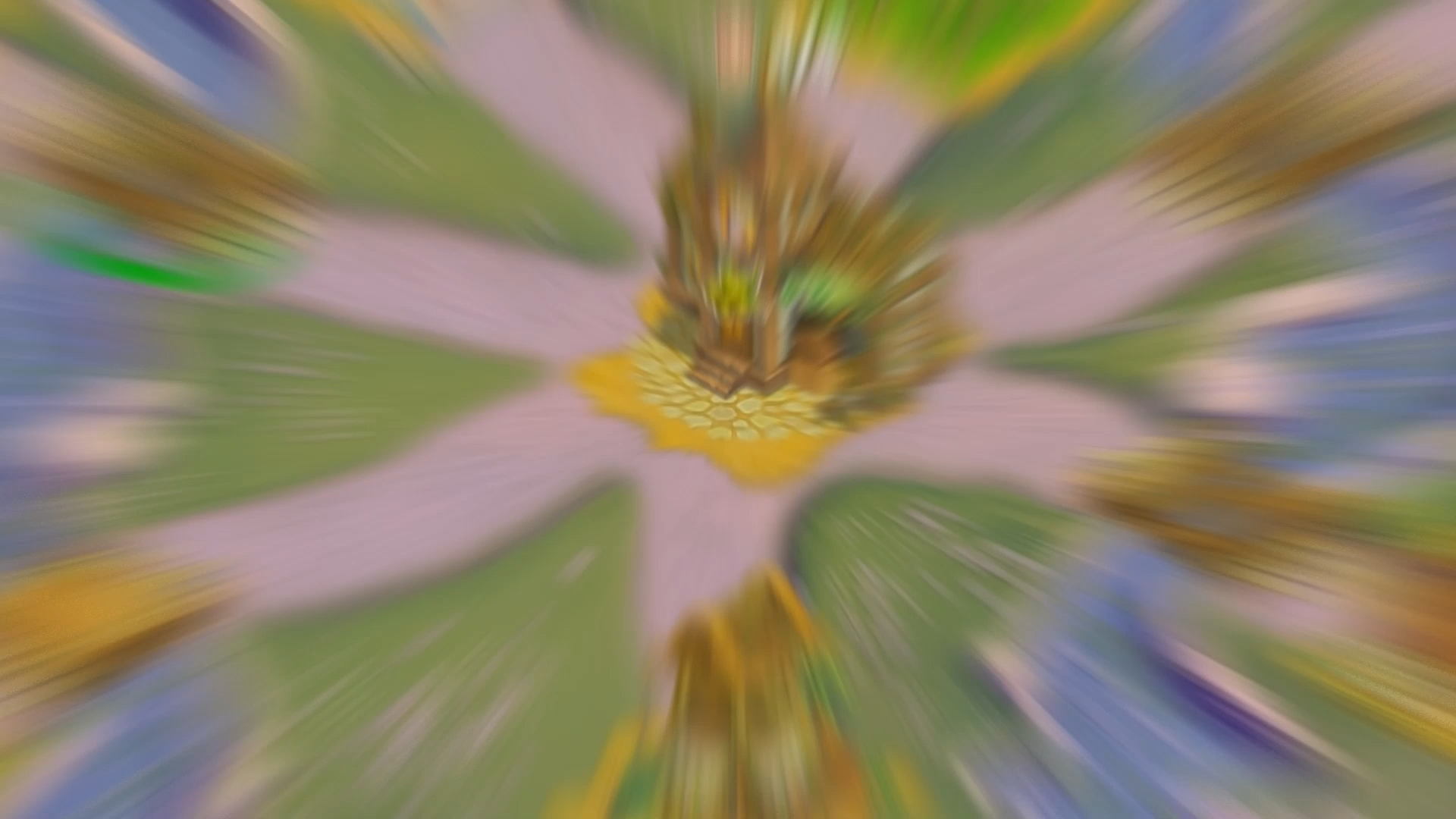 slide-thumbnail