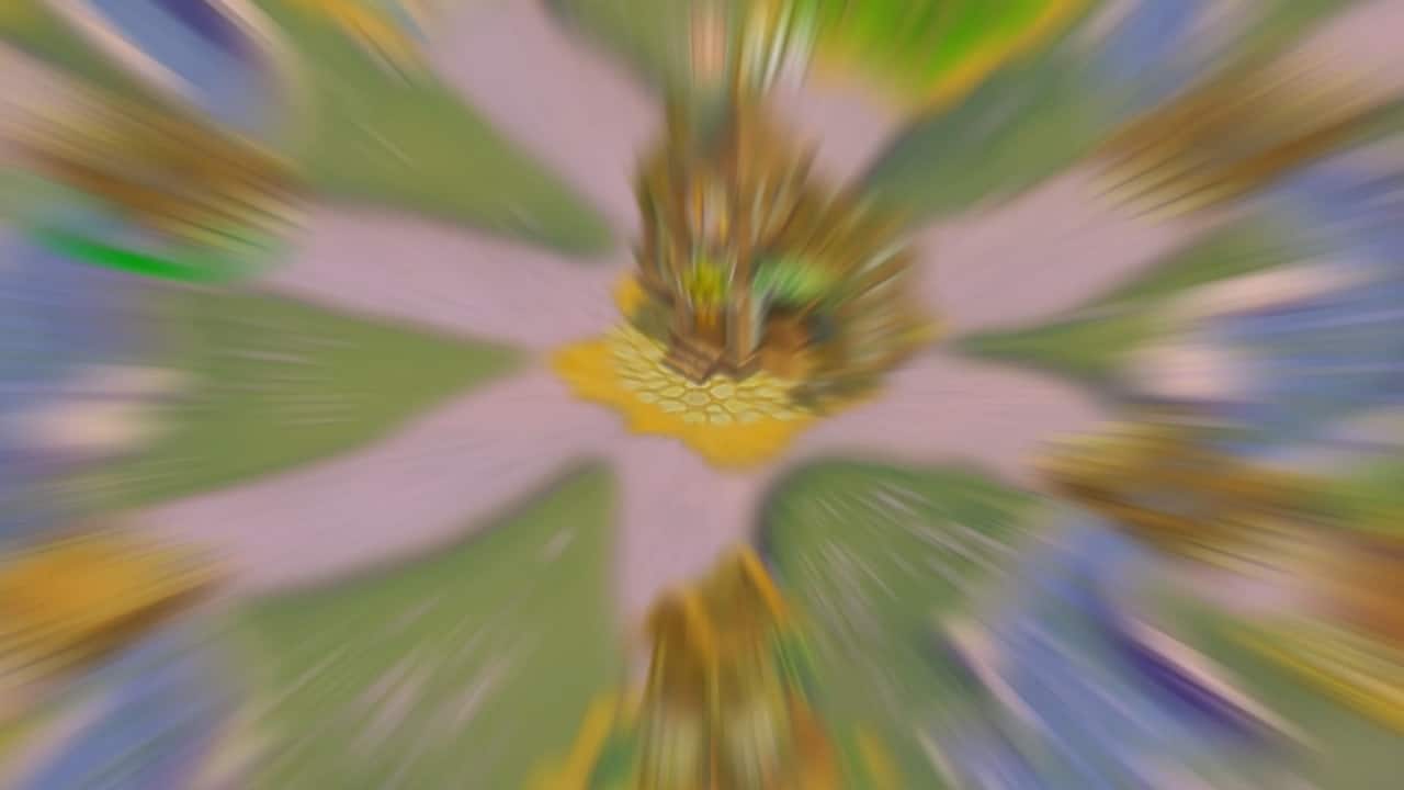 Carousel slide 7