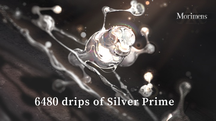 6480 Silver Prime