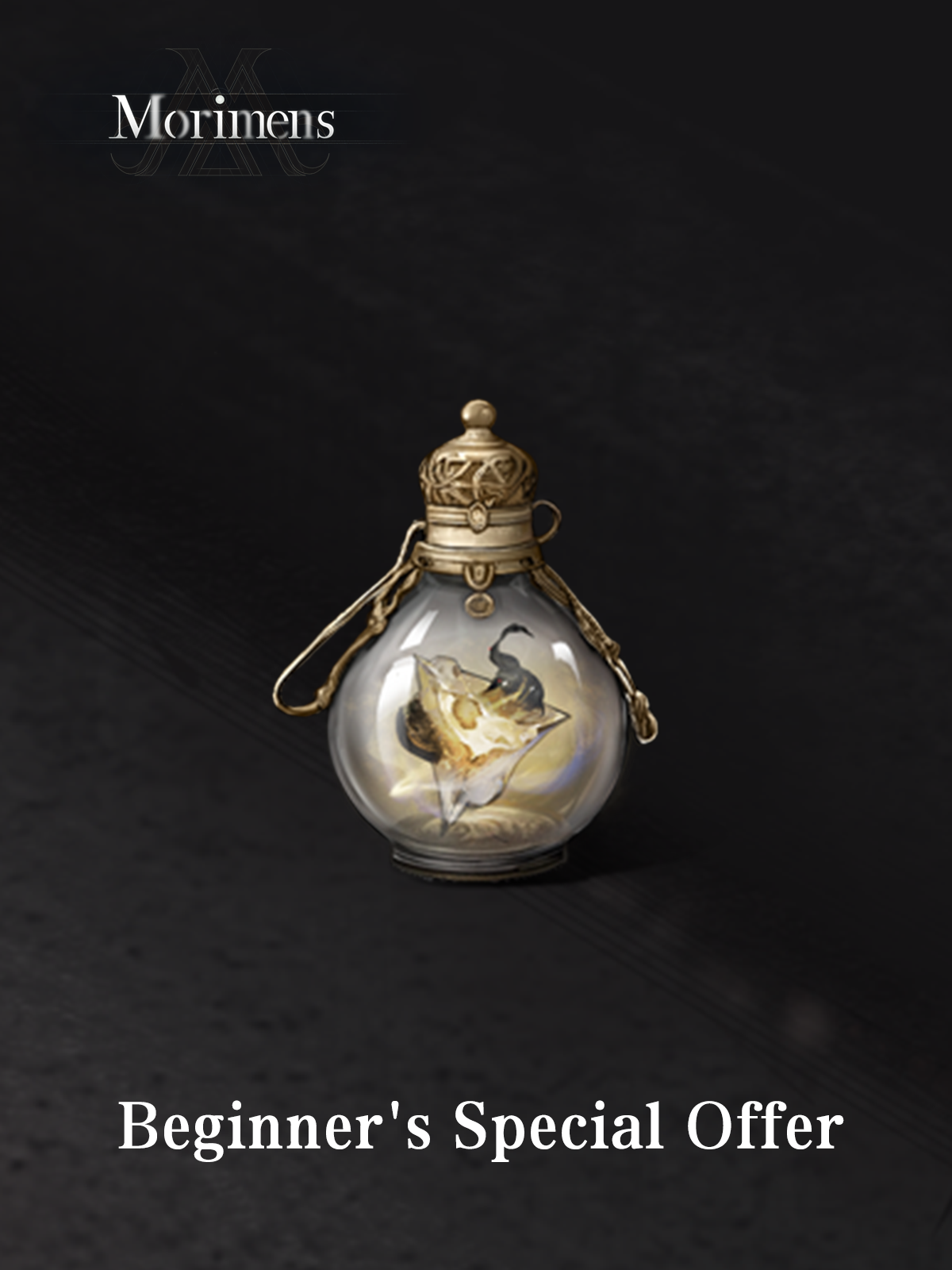 Beginner's Special Offer - OfferImageTall