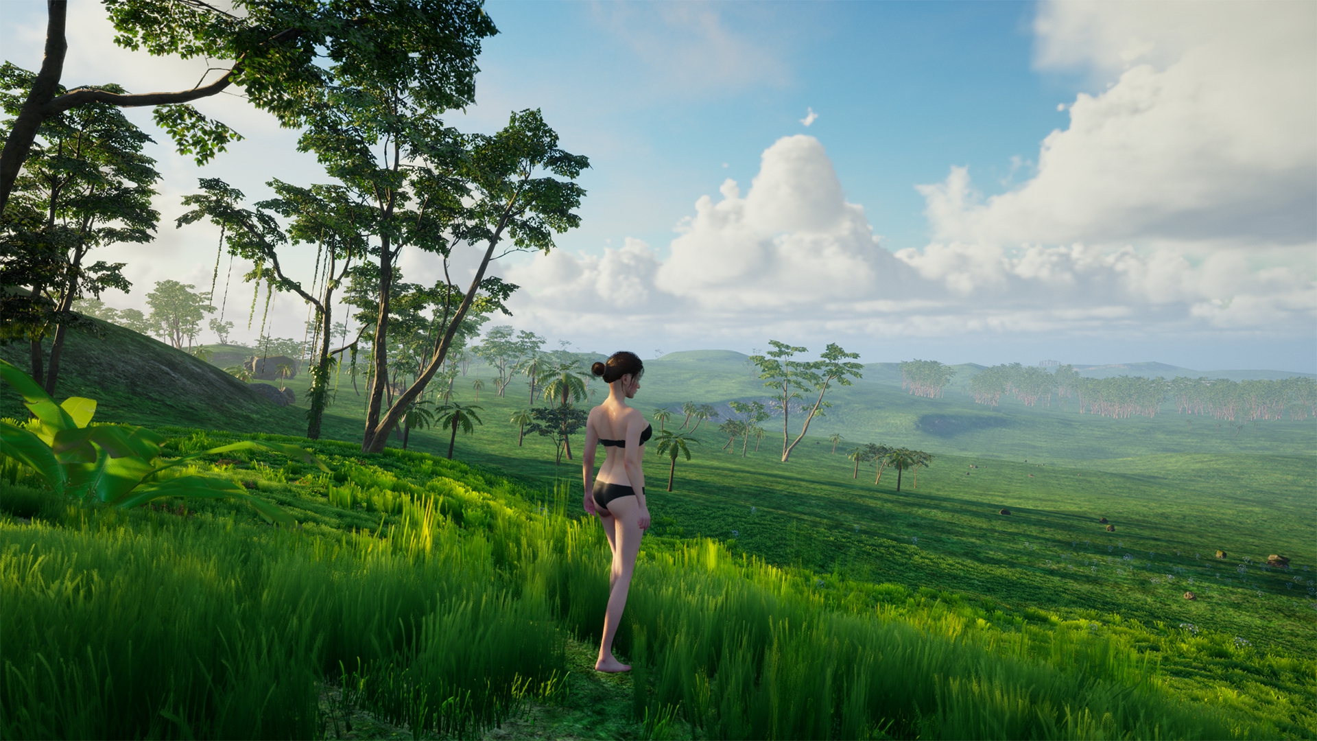 My Island-1n8t1
