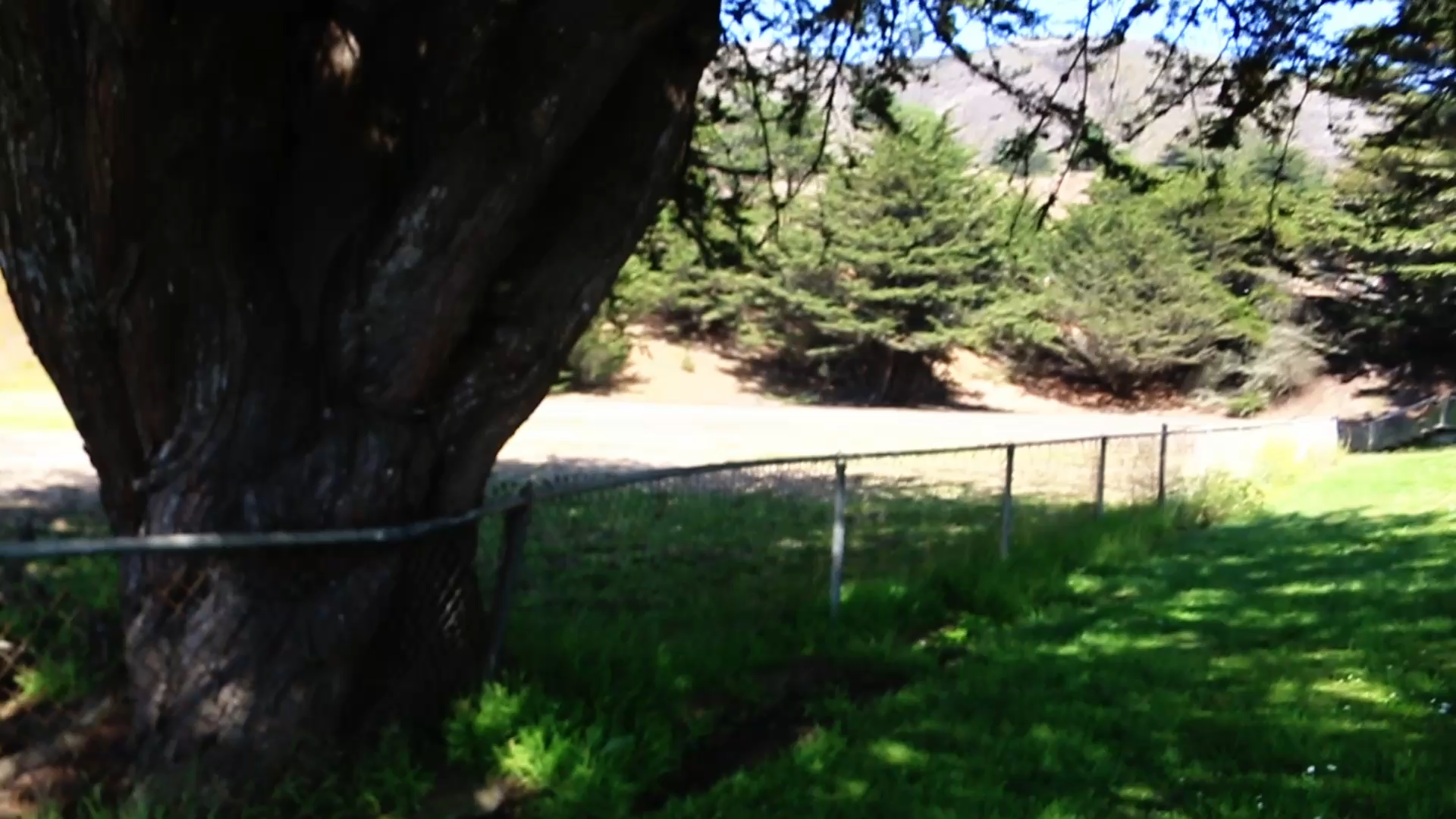 slide-thumbnail