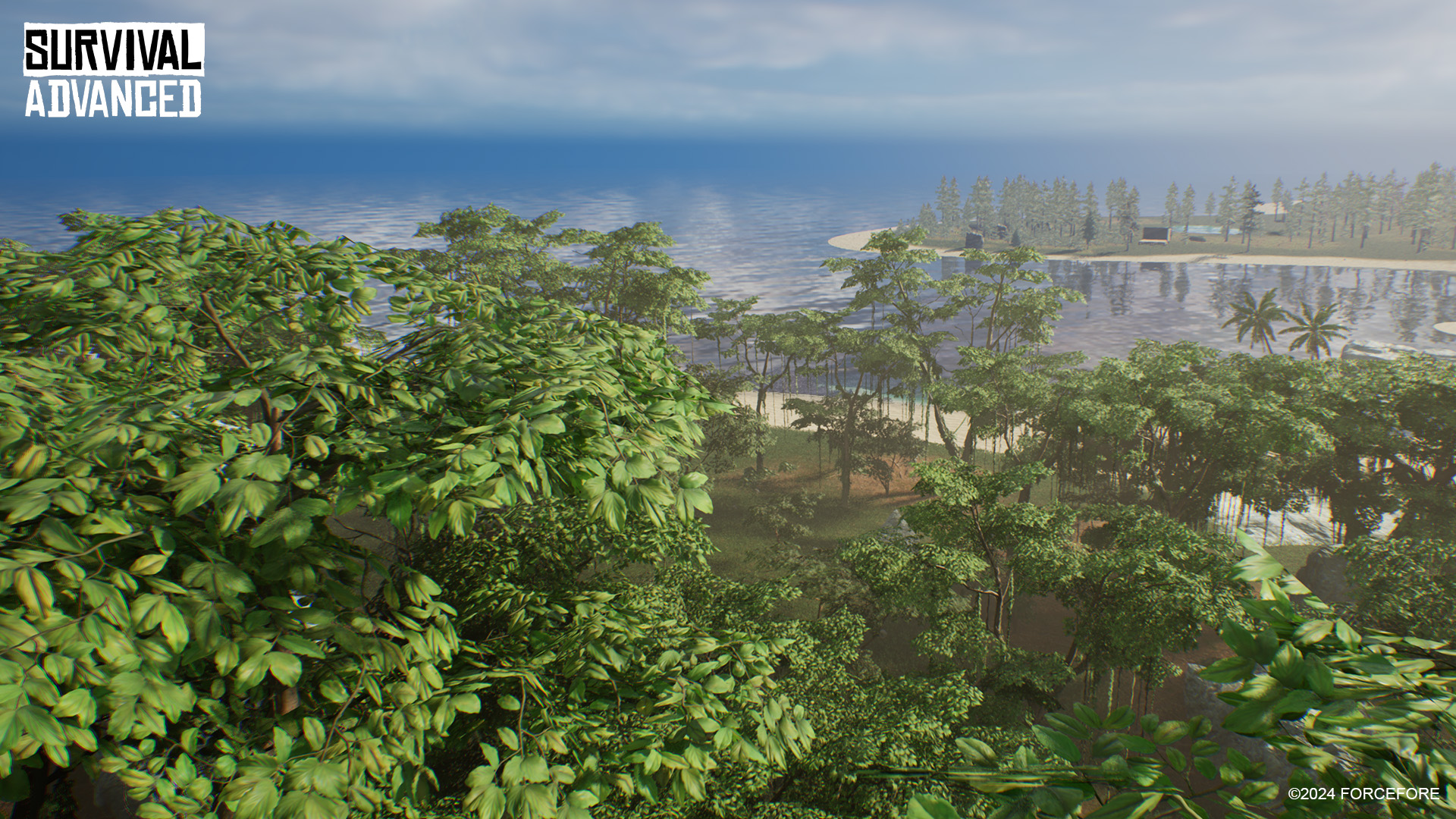 survival advanced-1m3y9