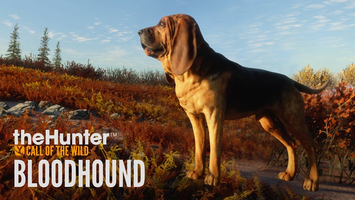 theHunter: Call of the Wild™ - Bloodhound