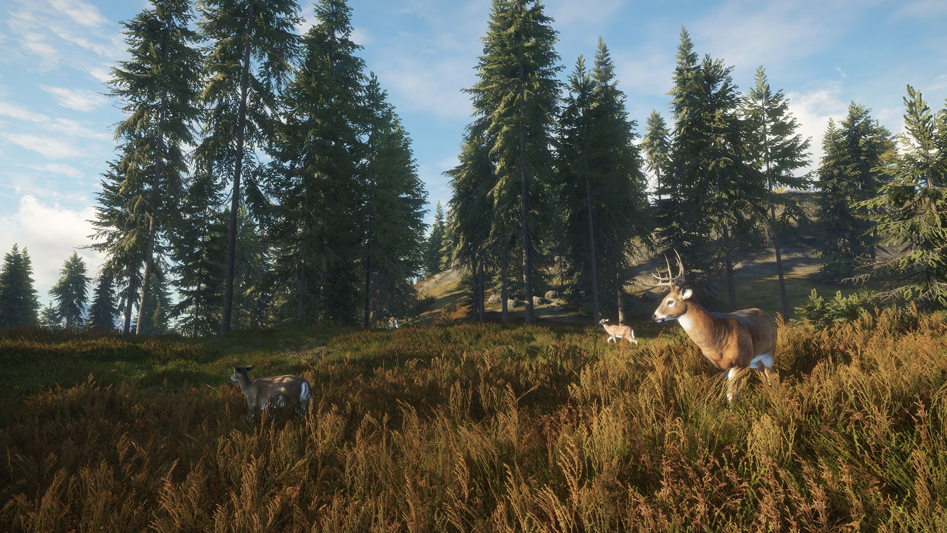 theHunter: Call of the Wild-1ac7q