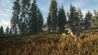 theHunter: Call of the Wild™ screenshot 4