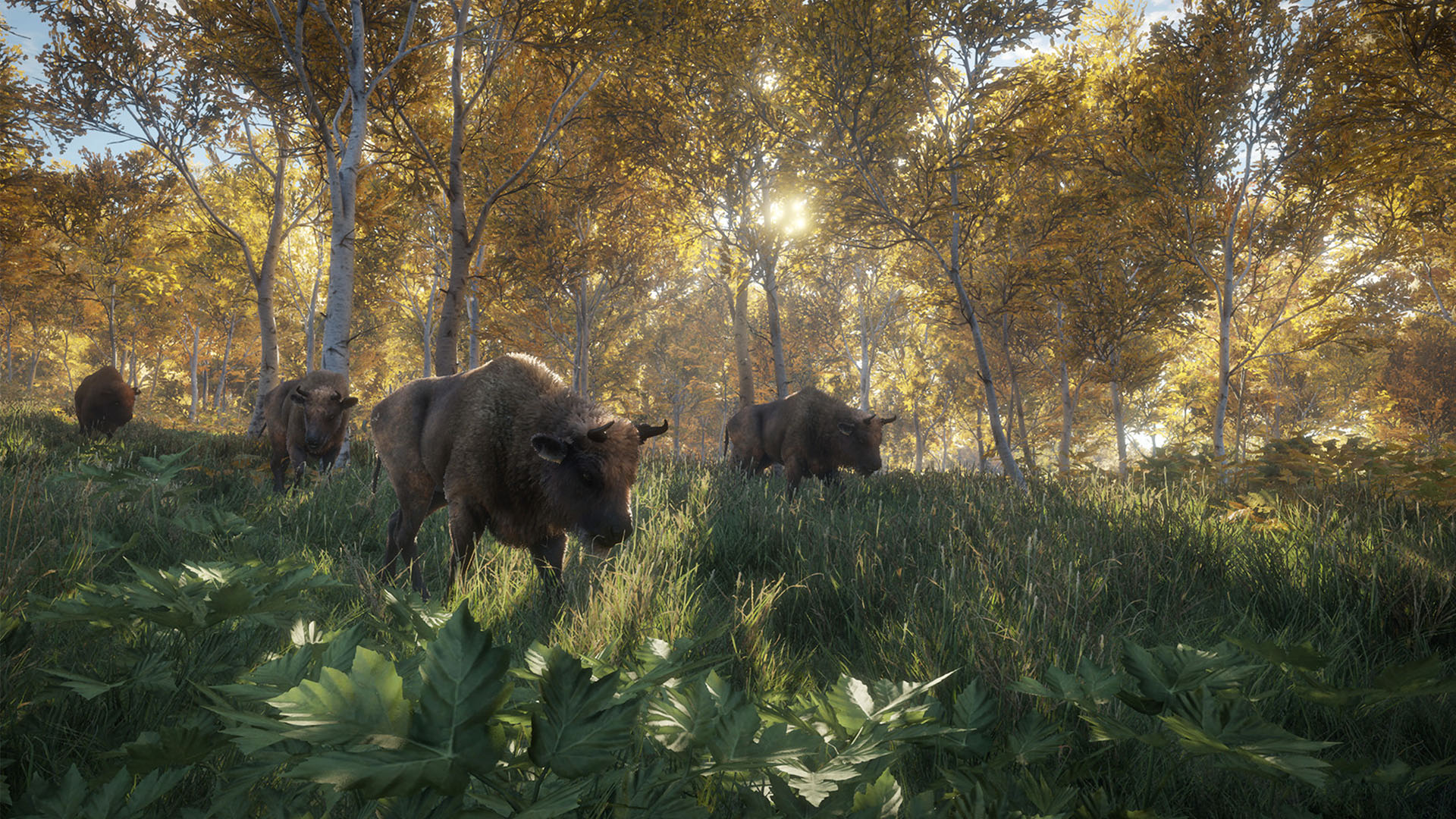 theHunter: Call of the Wild-1ciny