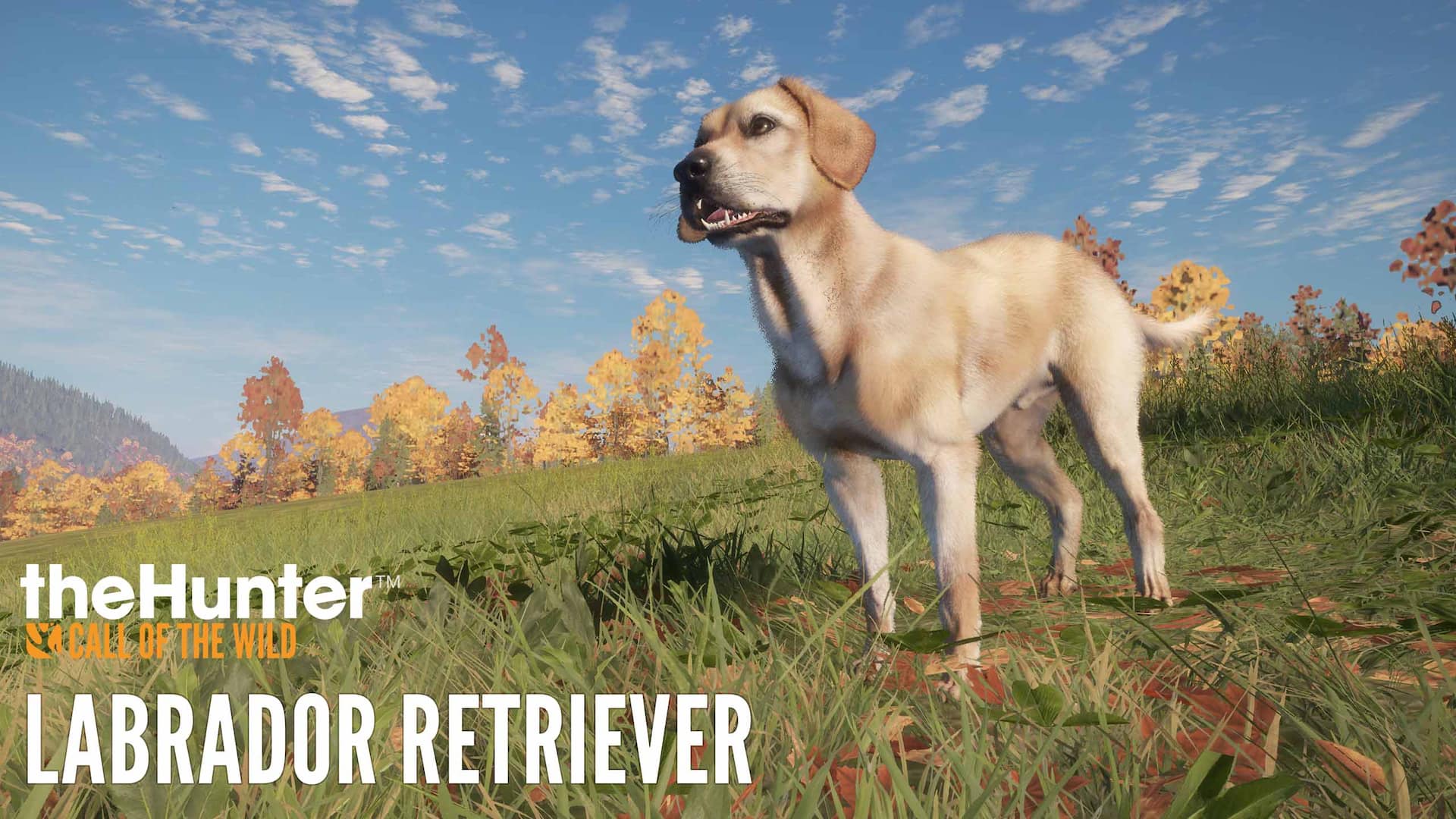 theHunter: Call of the Wild™ - Labrador Retriever
