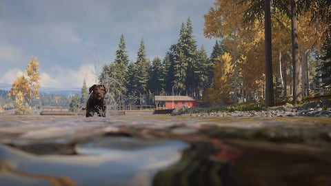 theHunter: Call of the Wild™ – Hunting Dog Bundle – Epic Games Store