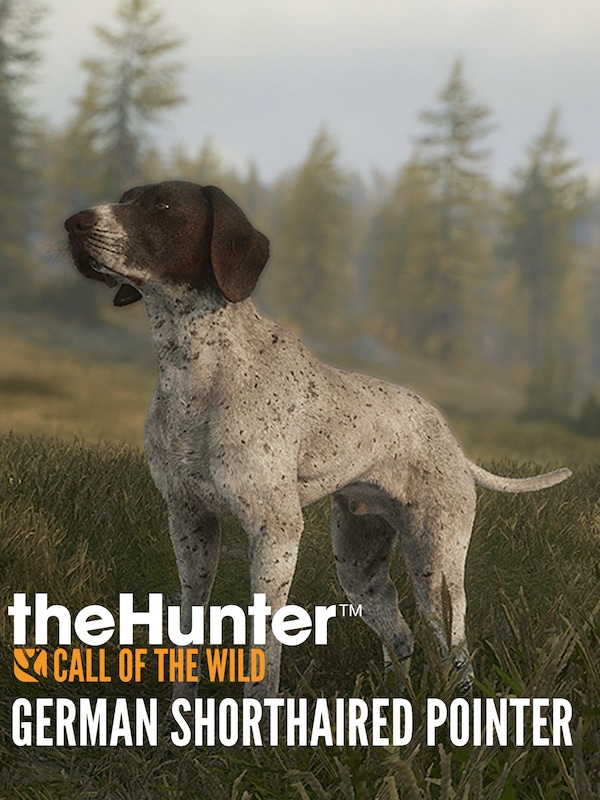 theHunter: Call of the Wild™ - German Shorthaired Pointer
