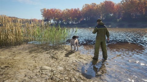 theHunter: Call of the Wild™ - 狩猟犬バンドル - Epic Games Store