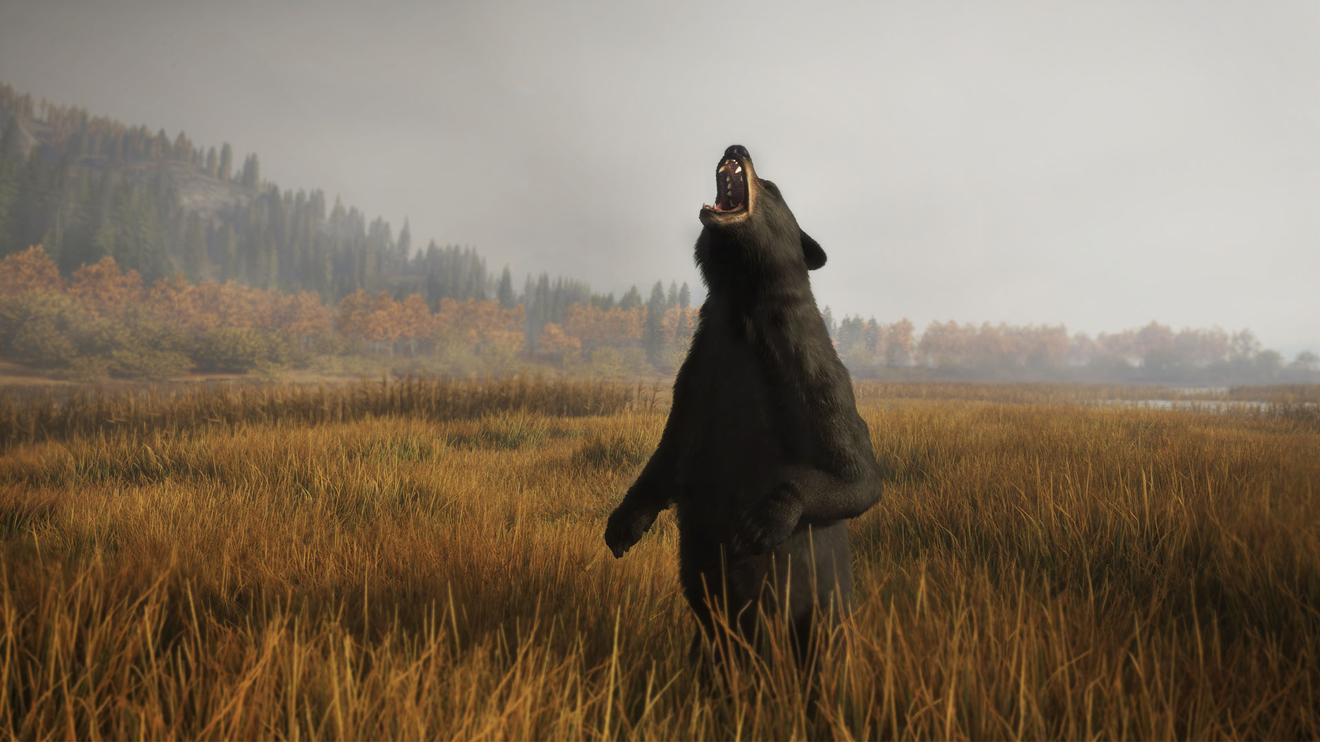 theHunter: Call of the Wild-1uaf0