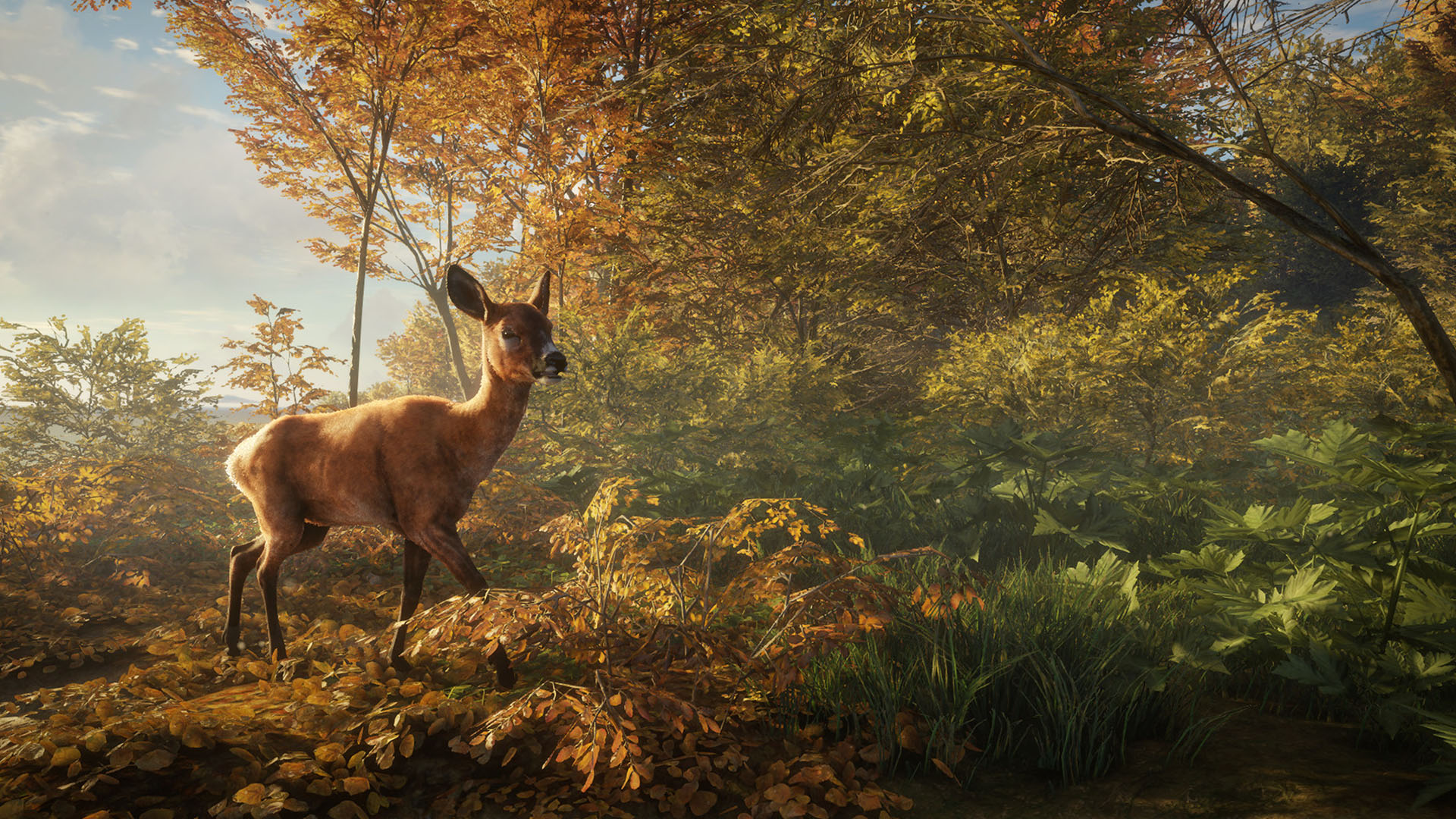 theHunter: Call of the Wild-6bdvz