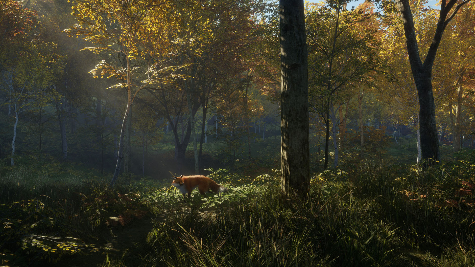 theHunter: Call of the Wild-lgd7v