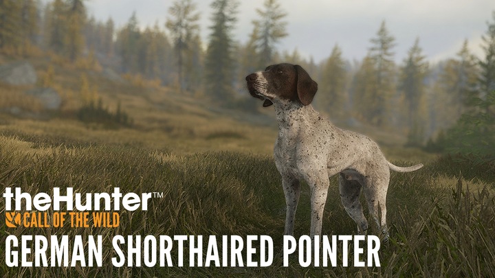 theHunter: Call of the Wild™ - German Shorthaired Pointer