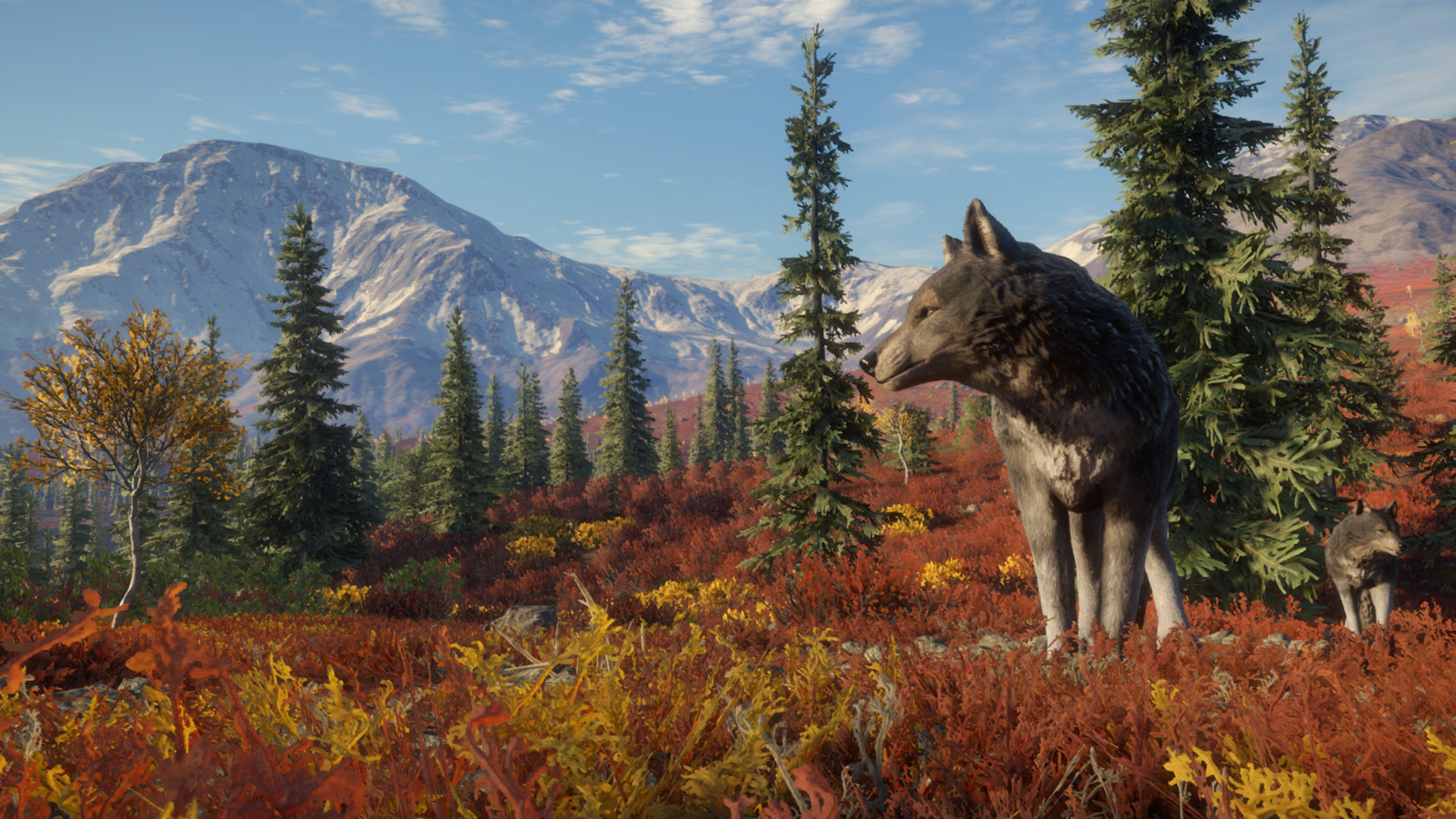 theHunter: Call of the Wild™ – Hunting Reserves Pack - featuredMedia